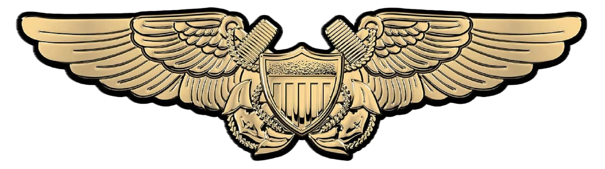 Naval Flight Officer Wings